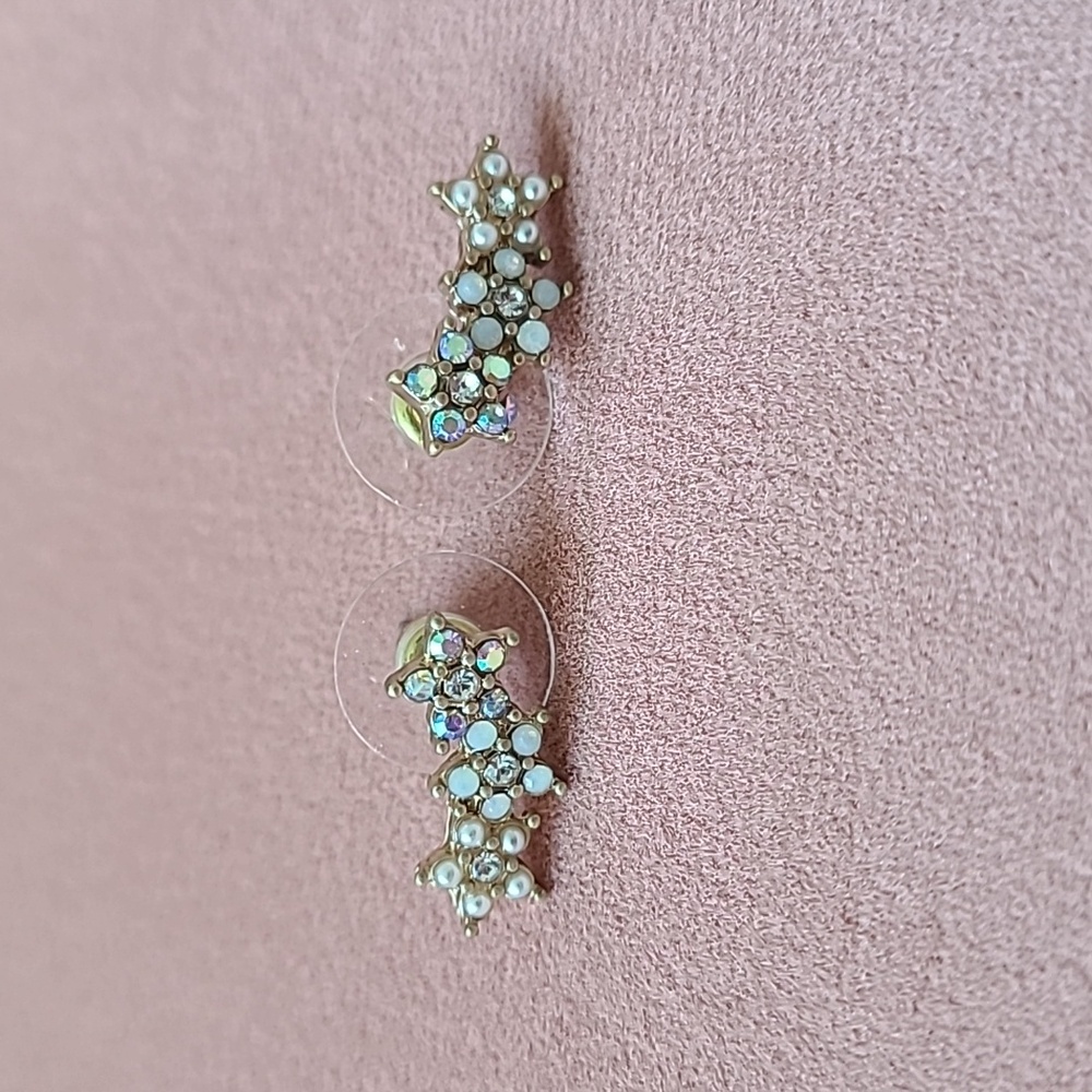 Climber Earrings